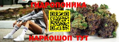 прущие крисы Канаш