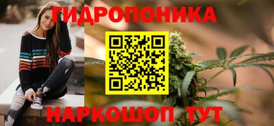 прущие крисы Канаш